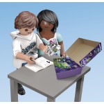 Playmobil Auyma Bat Fairy Ruins 70807 4008789708076