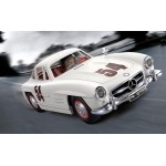 Playmobil Classic Cars Mercedes-Benz 300 SL 70922 4008789709226