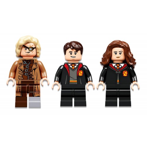 LEGO Harry Potter Hogwarts Moment: Defence Class 76397 5702017153384