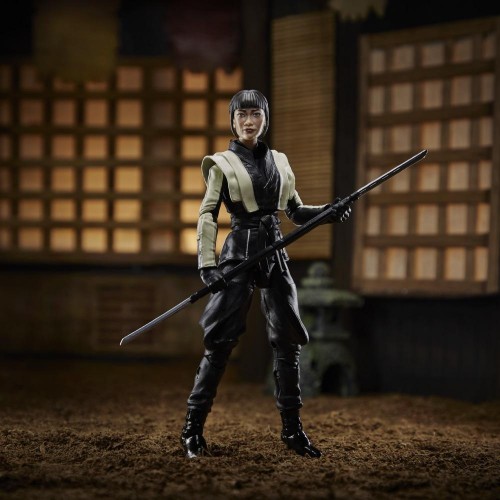 Hasbro G.I. Joe Classified Series Snake Eyes: Origins Akiko Action Figure 18, Premium Toy With Custom Package Art F0112 50109937