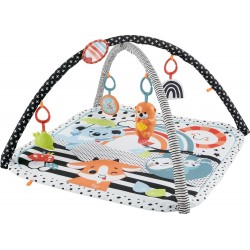 Mattel Music Gym 3 In 1 HBP41 194735000319