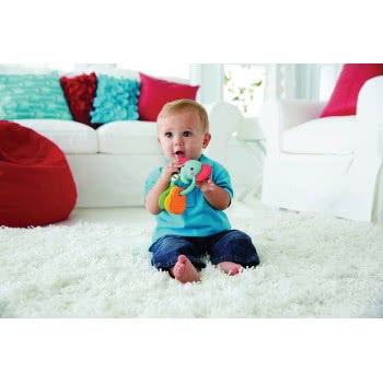 Mattel Ελεφαντάκι Οδοντοφυΐας CGR95 887961071955