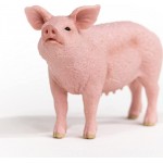 Schleich Farm World Γουρούνι Θηλυκό 13933 4059433358260