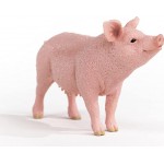 Schleich Farm World Pig Figurine Multicoloured 13933 4059433358260