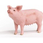 Schleich Farm World Pig Figurine Multicoloured 13933 4059433358260