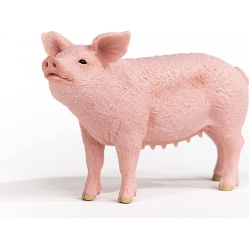 Schleich Farm World Γουρούνι Θηλυκό 13933 4059433358260