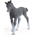 Schleich Horse Club Trakehner Foal Figurine Multicoloured 13944 4059433461106