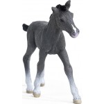 Schleich Horse Club Trakehner Foal Figurine Multicoloured 13944 4059433461106
