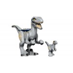 LEGO jurassic world Σύλληψη Βελοσιραπτόρων Μπλου & Μπέτα 76946 5702016913521