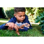 Mattel Jurassic World Νέοι Δεινόσαυροι με κινούμενα μέλη, λειτουργία επίθεσης & ήχους Rajasaurus HDX17 / HDX35 194735034123