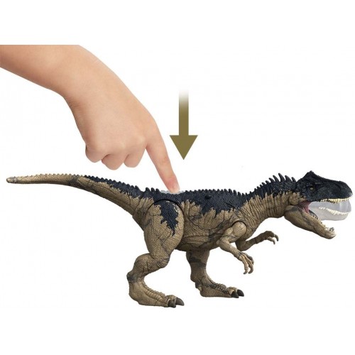 Display XY Evolutions Figurine Articulée Allosaurus – Jurassic World Display XY Evolutions Figurine Articulée Allosaurus – Jurassic World