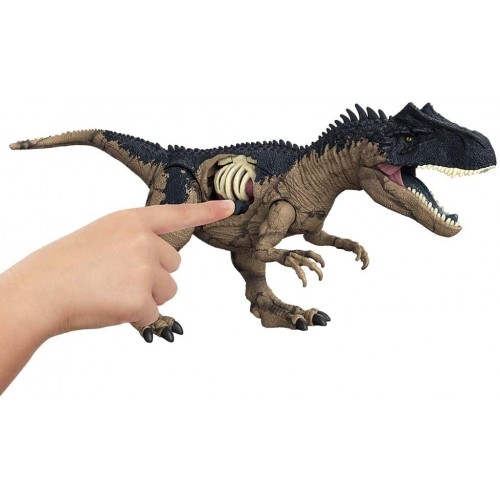 Mattel Jurassic World - Articulated Figure Dinosauro Allosaurus Dano Extremo 44.5 Cm Length. With Sounds HFK06 194735041626