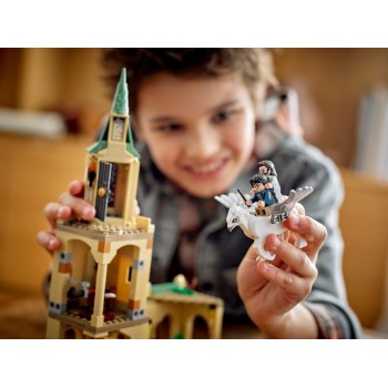 LEGO Harry Potter Hogwarts Courtyard: Siriuss Rescue 76401 5702017153421