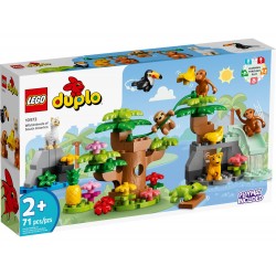 LEGO Duplo Wild Animals Of South America 10973 5702017155906