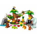 LEGO Duplo Άγρια Ζώα Της Νότιας Αμερικής 10973 5702017155906