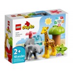 LEGO Duplo Άγρια Ζώα Της Αφρικής 10971 5702017153674