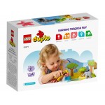 LEGO Duplo Άγρια Ζώα Της Αφρικής 10971 5702017153674