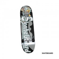 ΑΘΛΟΠΑΙΔΙΑ Skateboard No 1 SKATEBOARD 001.3999 9985777003519