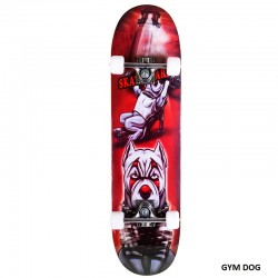 ΑΘΛΟΠΑΙΔΙΑ Skateboard No 2 GYM DOG 001.4000 9985777003625