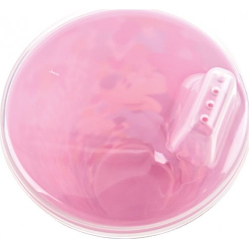 Stor Glass Easy Sipper Minnie 430 ml B51184 8412497511846