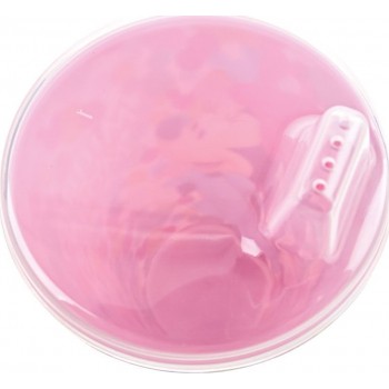 Stor Glass Easy Sipper Minnie 430 ml B51184 8412497511846