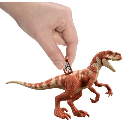 Mattel  Atrociraptor Jurassic World New Basic Dinosavron HDX18 / GWC97 887961937978