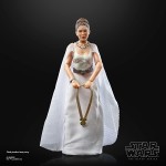 Hasbro Star Wars The Black Series Princess Leia Organa yavin 4 Lucasfilm 50th Anniversary F1264 5010993903368