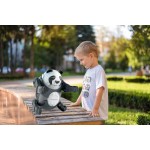 Clementoni ROBO PANDA - SCIENCE And PLAY 1026-63654 8005125636549