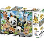 prime3d 3d Puzzle 500 Howard Robinson – Llama Drama 10377 670889103774