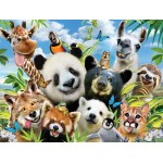 prime3d 3d Puzzle 500 Howard Robinson – Llama Drama 10377 670889103774