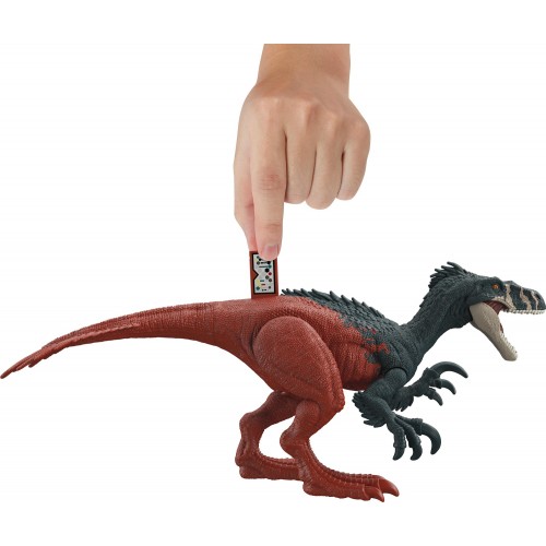 Mattel Jurassic World New Dinosavers With Mobile Member Roar Strikers Megaraptor  HDX17 / HGP79 194735055586