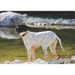 k-toyz Παζλ - I'm Your Puzzle Hero! Άξελ 120Τμχ PH-03 5214001024247