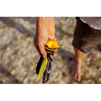 Waboba Flyer Soft Rubber Shuttlecock 305C06 840001930582