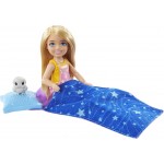 Mattel Barbie It Takes Two Camping Playset With Tent Σκηνη Camping Me Κουκλες HGC18 194735048069