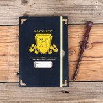 Blue Sky Studios Harry Potter Notebook And Wand Pen Set – Hogwarts Shield HP148482 5060718148482