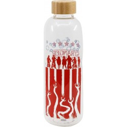 Stor Large Glass Bottle - Stranger Th ST00693 8412497006939