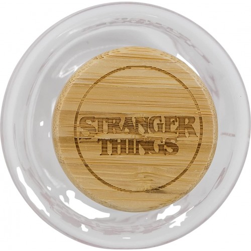 Stor Young Adult Small Μπουκάλι Νερού Γυάλινο 620 Ml Stranger Things ST00695 8412497006953