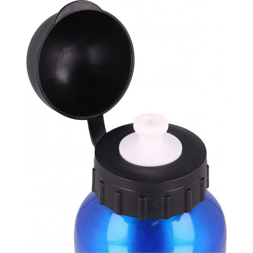 Stor Small Aluminium Bottle 400 Ml. Harry Potter, Metal, Harrypoter Blue ST12934 8412497129348