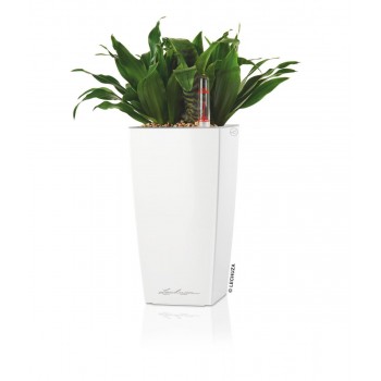 Lechusa LECHUZA ΑΥΤΟΠΟΤΙΖΟΜΕΝΗ ΓΛΑΣΤΡΑ MAXI-CUBI White High-Gloss All-In-One Set 18050 4008789180506