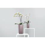 Lechusa LECHUZA ΑΥΤΟΠΟΤΙΖΟΜΕΝΗ ΓΛΑΣΤΡΑ MAXI-CUBI White High-Gloss All-In-One Set 18050 4008789180506