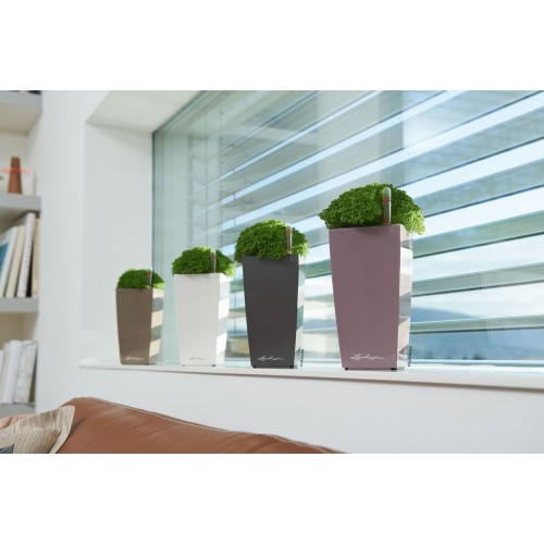 Lechusa LECHUZA ΑΥΤΟΠΟΤΙΖΟΜΕΝΗ ΓΛΑΣΤΡΑ MAXI-CUBI White High-Gloss All-In-One Set 18050 4008789180506