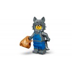 LEGO Minifigures Σειρά 23 71034 5702017154503
