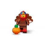 LEGO Minifigures Series 23 71034 5702017154503