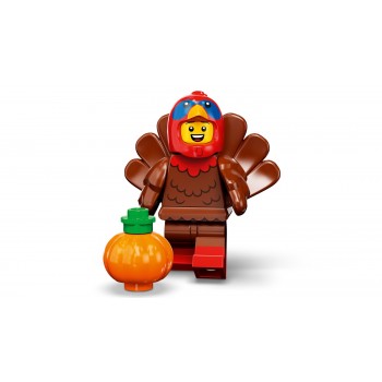 LEGO Minifigures Series 23 71034 5702017154503