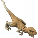 Mattel  Atrociraptor Jurassic World New Basic Dinosavron HDX18 / HDX30 194735033843