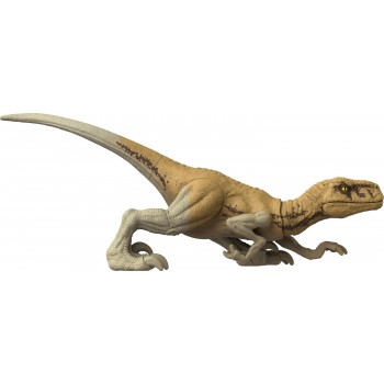 Mattel  Atrociraptor Jurassic World New Basic Dinosavron HDX18 / HDX30 194735033843