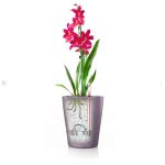 Lechusa LECHUZA ΑΥΤΟΠΟΤΙΖΟΜΕΝΗ ΓΛΑΣΤΡΑ MINI-DELTINI Pastel Violet High-Gloss All-In-One Set 14955 4008789149558
