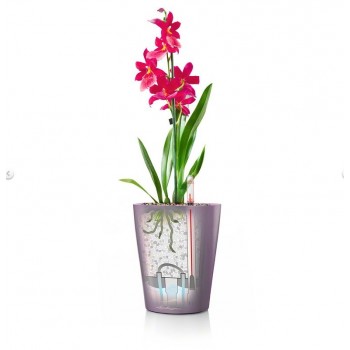 Lechusa LECHUZA ΑΥΤΟΠΟΤΙΖΟΜΕΝΗ ΓΛΑΣΤΡΑ MINI-DELTINI Pastel Violet High-Gloss All-In-One Set 14955 4008789149558