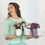 Lechusa LECHUZA ΑΥΤΟΠΟΤΙΖΟΜΕΝΗ ΓΛΑΣΤΡΑ MINI-DELTINI Apricot High-Gloss All-In-One Set 14956 4008789149565