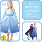 Rubies Official Disney Frozen 2, Elsa Premium Dress, Childs Costume, Size Large 300464L 883028387304